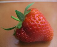 strawberry1 004.JPG