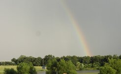 rainbow 009e.jpg
