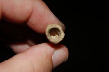 Antler Point With Drill Tip.jpg