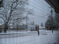 Snow pictures 2-24-11 057.JPG