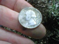 silver quarter.jpg
