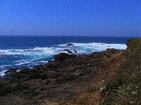 Mendocio County California Coast pics 013.jpg