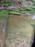 creek pic5.jpg