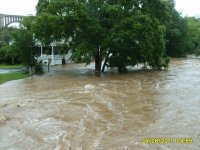 flood 2011   004.jpg