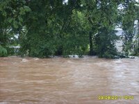 flood 2011  005.jpg