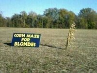 corn maze.jpg