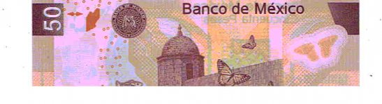 Mexican currency.jpg