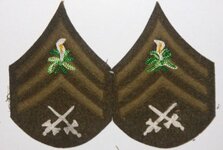 Knights of Pythias Uniform  Chevron 1st Sergent Guard (610x412).jpg