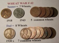 wheat war 42.JPG