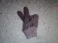 lost glove 002.JPG