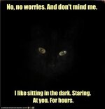 funny-pictures-and-this-is-a-purr-not-a-grrr-truly.jpg
