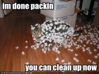 funny-pictures-cat-is-done-packing.jpg