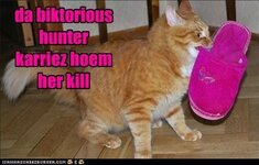 funny-cat-pictures-da-biktorious-hunter-karriez-hoem-her-kill.jpg