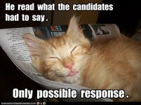 funny-cat-pictures-he-read-what-the-candidates-had-to-say.jpg