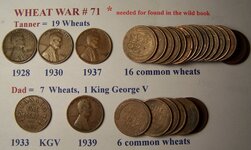 Wheat War 71.JPG