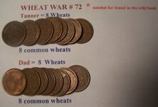 Wheat War 72.JPG