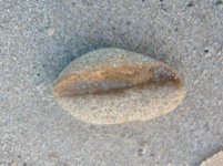 abrading stone with groove beach.JPG