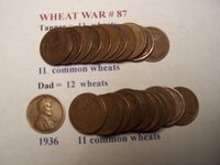 Wheat War 87.JPG