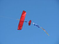 kite 003.JPG