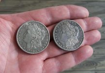 Silver Dollars.jpg