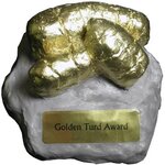 MED_turd-award-11.jpg