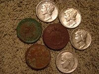 oak coins.jpg