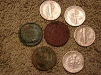 oak coins 2.jpg