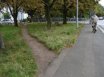 desire-path.jpeg