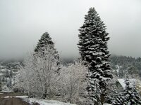 snow in ouray 3.jpg