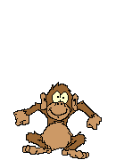 animated_monkey_3.gif