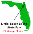 Little Talbot Island.gif