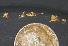 Gold From Prospecting 2.jpg