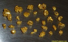 five-gram-gold-minelab-sdc-2300.jpg