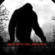 Metaldetecting_Metalhead