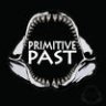 Primitive Past