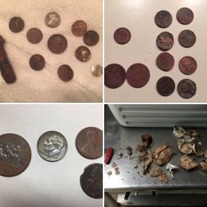 Common Coins