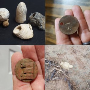 Some of my finds
