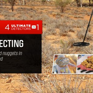 xp feature gold prospecting