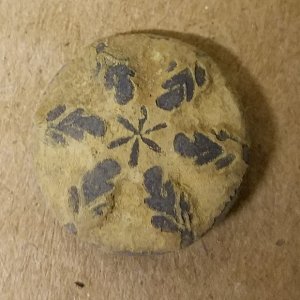 20160402 Flower Button uncleaned. Found in Brandon with the ETRAC.
