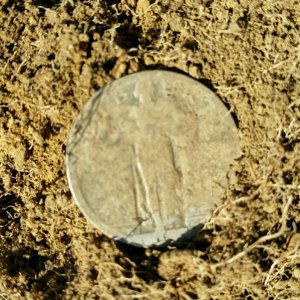 A 1920 Standing Liberty Quarter I found in the yard of a 1910 residence.