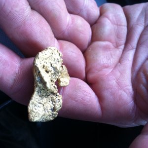 Real Gold - Nuggets are there, don't waste time looking for them they will find you if your working the dredge correctly.