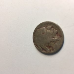 5/1/17 Park Find
Buffalo Nickel(no date)