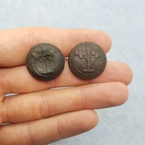SC militia coat buttons (Horstmann and Smith)