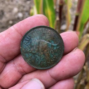 1943 Australian Penny - Cornfield Find