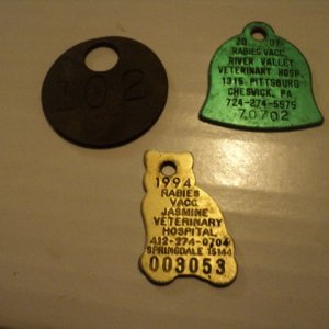 pet tags from found in 2010
