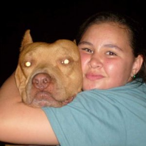 shelby and Dred - This is my daughter Shelby and the best dog i ever had. He passed away 
January 8,2009 at the young age of 4 years old. he is still 