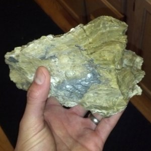 Nice size chunk of common Opal. Surface dig in a pit around the Gorge in central WA.