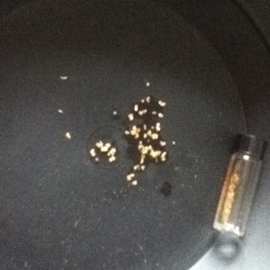 This one shows Arizona concentrate next to the gold I got from Felix motherload paydirt (vial)