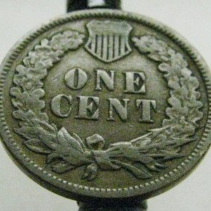 1905 indian head penny back