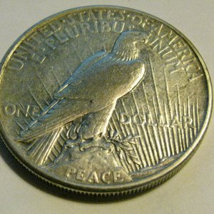 1921 Peace Dollar back